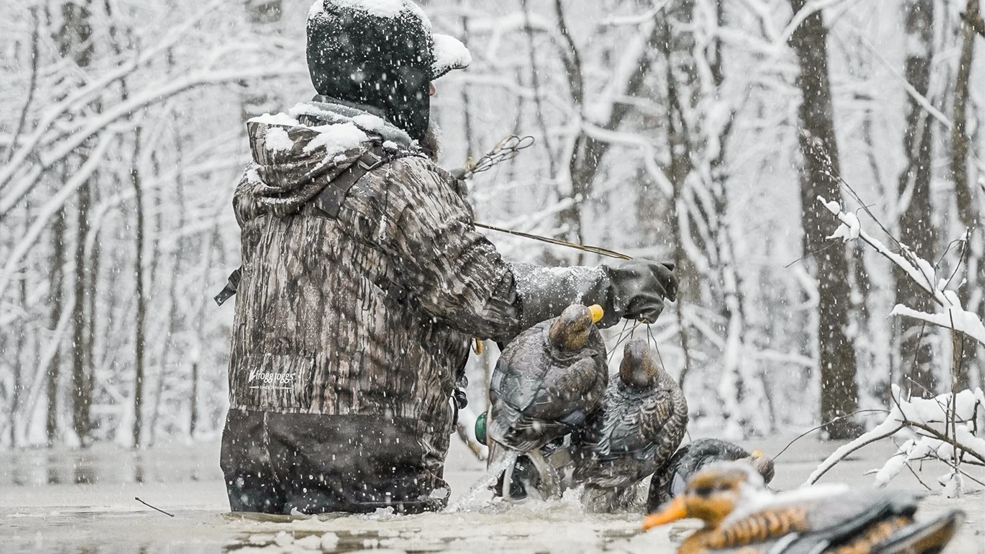 Master the Elements in Style